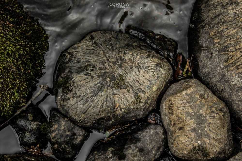 wędkarstwo skandynawia